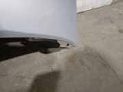 Motorhaube 7M3823031J Seat Alhambra (7V8/9) Großraumlimousine 1.9 TDi 115 (AUY)