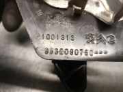 Türgriff Innen Rechts Hinten 9832090780 Citroën Jumpy Van 2.0 Blue HDI 120 (DW10FE(AHK))