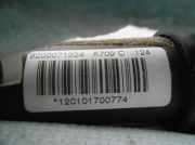 Vorhang Airbag Links VOOR VOOR 8200071324 Renault MEGANE I SCENIC (JA0) 1.9dTi Alize