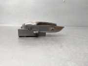 Motorhaube 651005147R Renault CAJA CERRADA (AB 4.01) 2.0 dCi Diesel FAP CAT