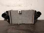 Ladeluftkühler 2827007350 Hyundai i20 (BC3) Schrägheck 5-drs 1.0 T-GDI 100 Mild Hybrid 48V 12V (G3LF)