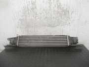 Ladeluftkühler 0051785221 Fiat Linea (323AX) Limousine 1.3 D Multijet 16V VGT (199.A.3000)