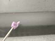 Zierleiste VOOR 1495787077 Peugeot Expert (224) Großraumlimousine 2.0 HDi 110 (DW10ATED(RHZ))