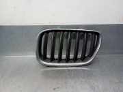 Grill 51137124815 BMW X5 (E53) SUV 3.0d 24V (M57N-D30(306D2))