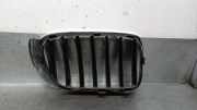 Grill 51117338571 BMW X3 (F25) SUV xDrive20d 16V (B47-D20A)