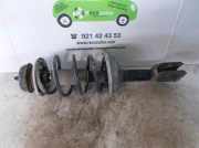 Stoßdämpfer Links Vorne 7700428438D Renault CLIO II FASE I (B/CBO) 1.9 Diesel