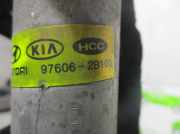 Motorsteuergerät 3911002045 Kia Picanto (BA) Schrägheck 1.1 12V (G4HG)