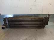 Ladeluftkühler 8200115540D Renault II Sedán (LM0/1_) 1.9 dCi (LM0G, LM1G, LM2C)