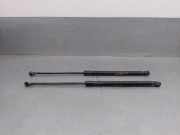 Gasdruckfedern Set Hinten 6Q6827550C Volkswagen Polo IV (9N1/2/3) Schrägheck 1.2 12V (AZQ) AZQ