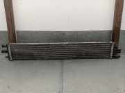 Radiator 214C10001RC Renault III FURGON MA / FM9T / MYB23061A3T0 2.3 DIESEL