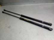 Gasdruckfedern Set Hinten 5H6827550K Volkswagen Golf VIII (CD1) Schrägheck 1.5 eTSI 16V (DXDB) DXDB