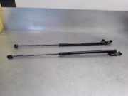 Gasdruckfedern Set Hinten 904510002R Renault Megane III Coupe (DZ) Schrägheck 3-drs 1.2 16V TCE 130 Start & Stop (H5F-404(H5F-B4))