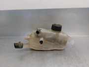 Ausgleichbehälter - 217100005R Renault Megane III Coupe (DZ) Schrägheck 3-drs 1.2 16V TCE 130 Start & Stop (H5F-404(H5F-B4))