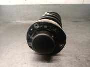 Sto?d?mpfer Links Vorne 1471BGS Peugeot 206 (2A/C/H/J/S) Schr?gheck 1.4 XR,XS,XT,Gentry (TU3JP(KFW))