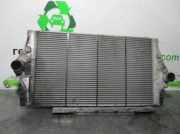 Ladeluftkühler 8200075810C Renault IV (JK0/1_) 2.2 dCi (JK0H)