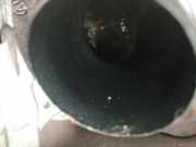 Turbolader 03L253016H Seat Ibiza IV (6J5) Schrägheck 5-drs 1.6 TDI 90 (CAYB)