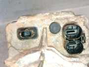 Servolenkung Pumpe 491103543R Nissan NV400 Furgoneta (X62, X62B) dCi 135