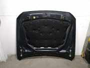 Motorhaube 41617207194 BMW 5 serie Touring (F11) Kombi 520d 16V (N47-D20C)