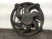 Kühlerventilator 1253A9 Citroën CITROËN COUPE 1.6 16V CAT (NFU / TU5JP4)