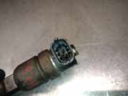 Kraftstoff-Injector 0445110256 Hyundai Getz SchrÃ¤gheck 1.5 CRDi 16V (D4FAL)