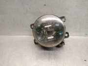 Nebelscheinwerfer Links Vorne 9811333380 Citroën DS5 (KD/KF) Schrägheck 5-drs 2.0 BlueHDI 150 16V (DW10FD(AHX))
