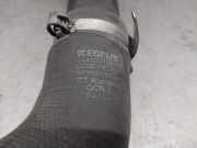 Schlauch 144600186R Renault IV Schr?gheck (B9A/M/N_) 1.3 TCe 140 (B9NB)