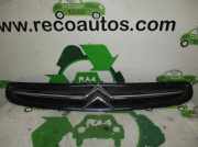 Grill CitroÃ«n Xsara Picasso (CH) GroÃŸraumlimousine 2.0 HDi 90 (DW10TD(RHY)) DW10TD(RHY)