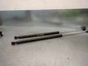 Gasdruckfedern Set Hinten 1492653080 Citroën C8 (EA/EB) Großraumlimousine 2.0 HDi 16V (DW10UTED4(RHK))