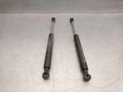 Gasdruckfedern Set Hinten 7700838612C Renault I Classic (LA0/1_) 1.9 dCi (LA05, LA1F)