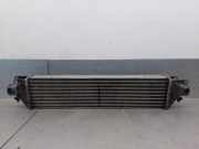 Ladeluftkühler 51785255 Fiat Linea (323AX) Limousine 1.6 D Multijet (198.A.3000)