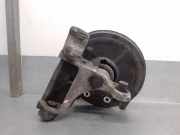 Achsschenkel Halter Rechts Hinten 8200687522 Renault Vel Satis (BJ) Großraumlimousine 2.0 dCi 16V 175 FAP (Euro 5))