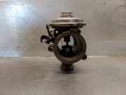 Agr Ventil 7804380 BMW X5 (E70) SUV xDrive 30d 3.0 24V (M57N2-D30(306D3))