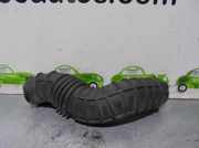 Schlauch 2C118C617BA Ford Transit Van 2.0 TDdi 16V (D3FA)