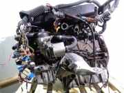Motor 306D1 BMW X5 (E53) SUV 3.0d 24V (M57-D30(306D1))