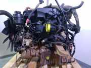 Schließplatte Kühlerträger 866163E010 Kia Sorento I (JC) SUV 2.4 16V (G4JSG)