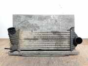 Ladeluftkühler 8200427469 Renault Kangoo Express (FW) Van 1.5 dCi 75 (K9K-E808(Euro 5))