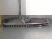 Grill 3T168350ABW Ford (TC7) 1.8 TDCi CAT