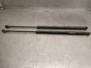 Gasdruckfedern Set Hinten 1354844080 Fiat Qubo Gro?raumlimousine 1.3 D 16V Multijet (199.B.1000)