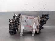 Ladeluftkühler 04L145749M Volkswagen Crafter (SY) Van 2.0 TDI FWD (DAVA) DAVA