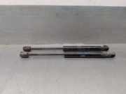 Gasdruckfeder Set Vorne BJ3216C826AA Land + Range Rover Range Rover Evoque 2.2 TD4 16V (224DT)