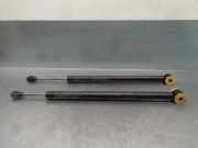 Gasdruckfedern Set Hinten A2217300016 Mercedes-Benz S (W221) Limousine 3.0 S-320 CDI 24V (OM642.930)