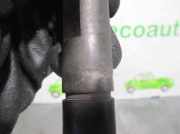 Kraftstoff-Injector 0432193838 Audi 80 (B4) Limousine 1.9 TDI (1Z)