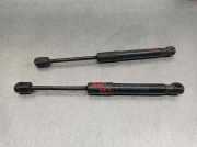 Gasdruckfeder Set Vorne 51237419387 BMW 3 serie (G20) Limousine 330e 2.0 TwinPower Turbo 16V (B48-B20B)