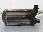 Ladeluftkühler 00467562420 Fiat MAREA BERLINA (185) 1.9 JTD CAT