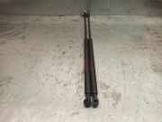 Gasdruckfedern Set Hinten 9602754380 Citroën ZX Break Kombi 1.9D Reflex (XUD9A-L(D9B))