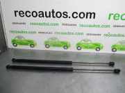 Gasdruckfedern Set Hinten 7700828454 Renault Scénic (JA0/1_) 1.9 dTi (JA0N)