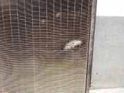 Radiator 1330G5 Citroën Xsara Picasso (CH) Großraumlimousine 1.6 (TU5JP(NFV))