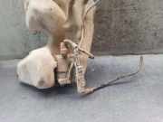 Scheibenwaschbehälter 9642775480 Peugeot PARTNER (S1) 1.9 Diesel