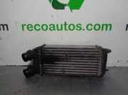 Ladeluftkühler 1498987080 Fiat Scudo (270) Van 1.6 D Multijet (DV6UTED4(9HU))