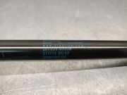 Gasdruckfedern Set Hinten 51883050 Fiat 500L (199) Gro?raumlimousine 1.3 D 16V Multijet Euro 5 (199.B.4000)